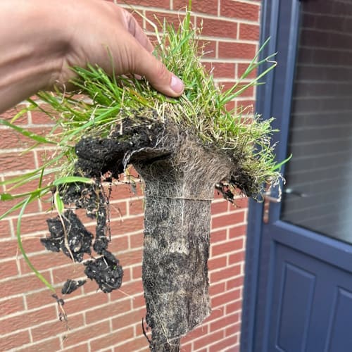 Stoke-on-Trent Garden Maintenance