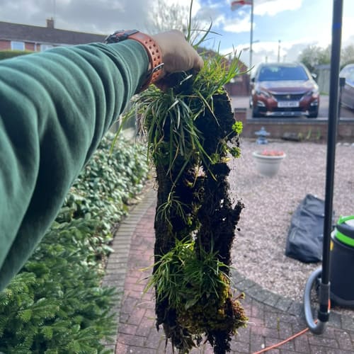 Weed Control & Treatment Uttoxeter