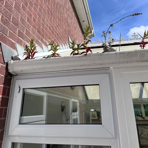 Roof Cleaning & Moss Removal