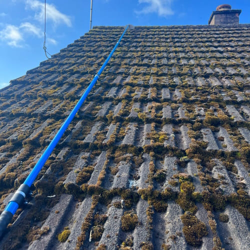 Marchington Roof Cleaning & Moss Removal