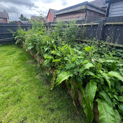 Marchington Weed Control & Treatment
