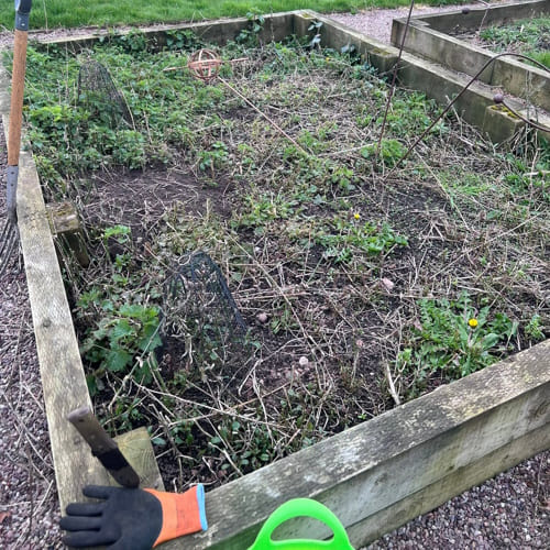 Stafford Weed Control & Treatment
