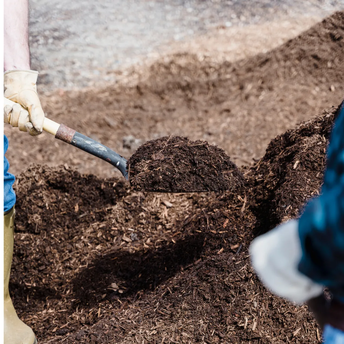 Mulching
