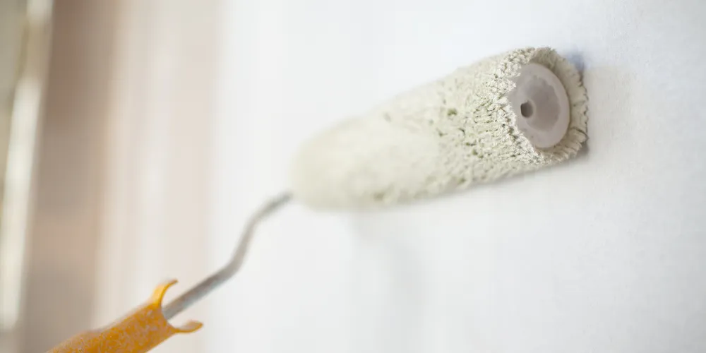 Professional Painting Services