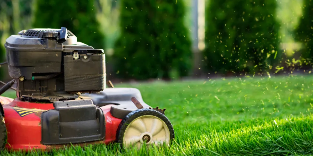 Lawn Mowing, Edging and Green Waste Removal