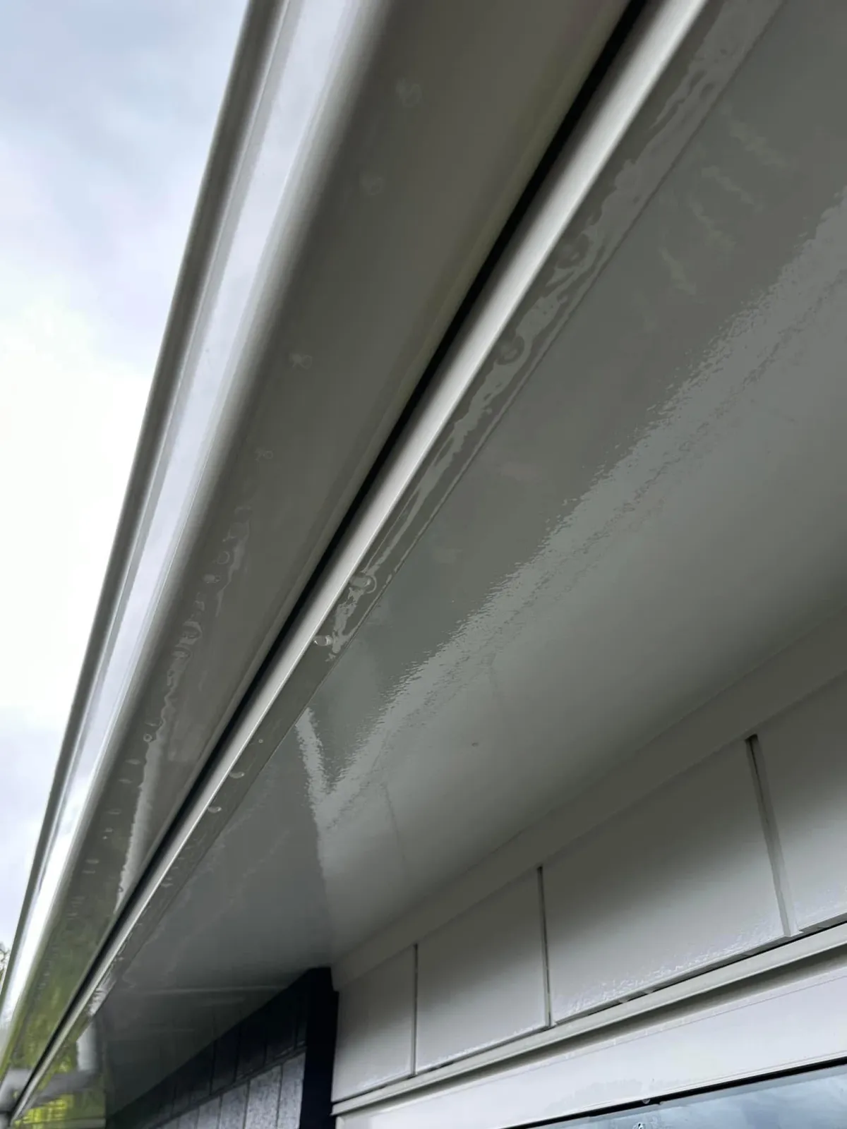 Mould removal for health and protection benefits.