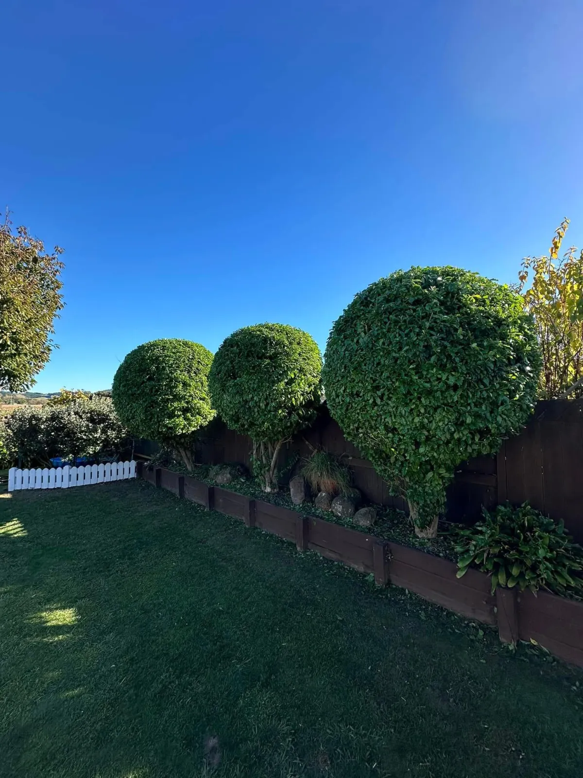 Backyard transformations for serene spaces.