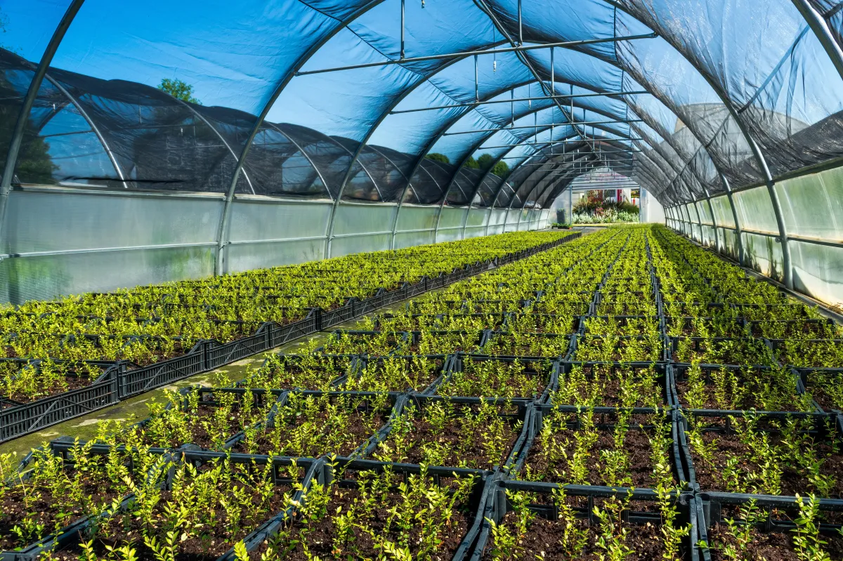 an old greenhouse with a white door and windows