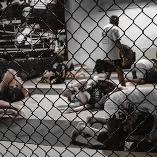 Adult GI/ NOGI Jiu-itsu at South Tampa Jiu-Jitsu