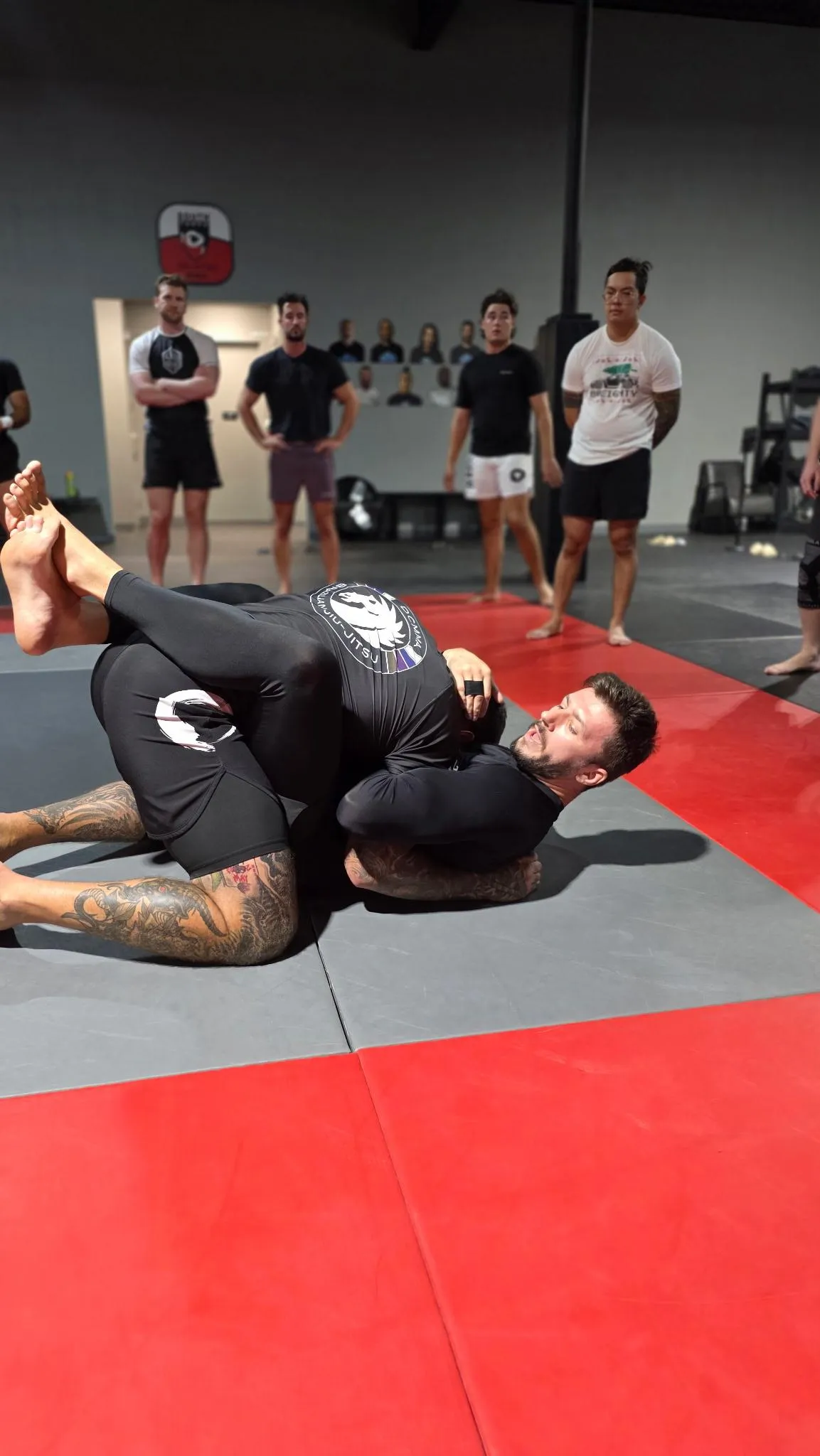 Adult GI/ NOGI Jiu-itsu at South Tampa Jiu-Jitsu
