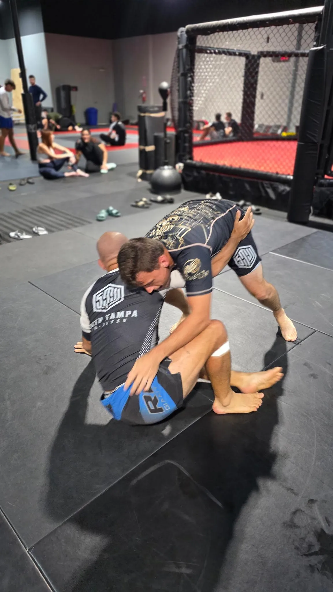 Adult GI/ NOGI Jiu-itsu at South Tampa Jiu-Jitsu