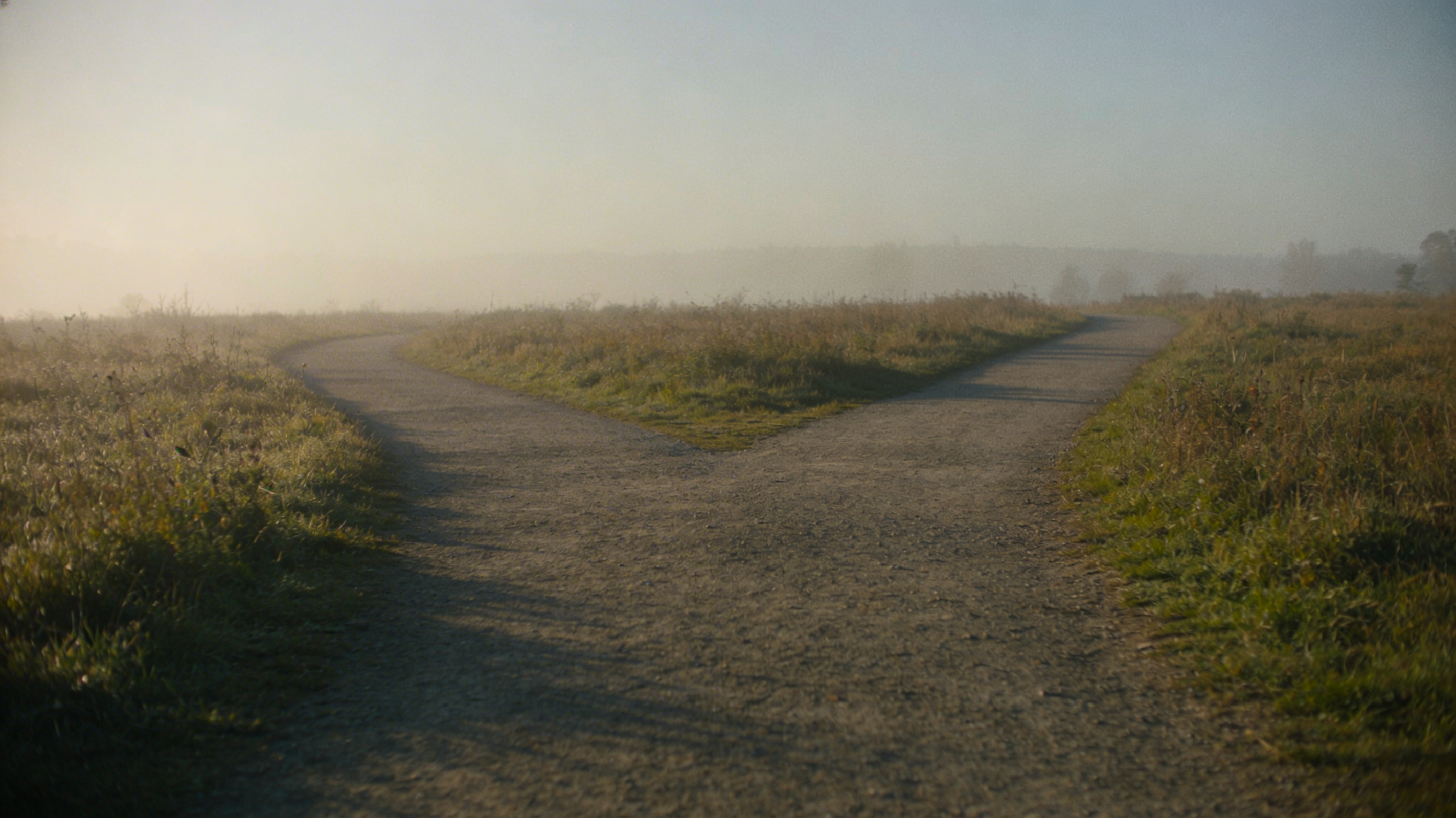 addiction recovery support for drugs alcohol and mental health