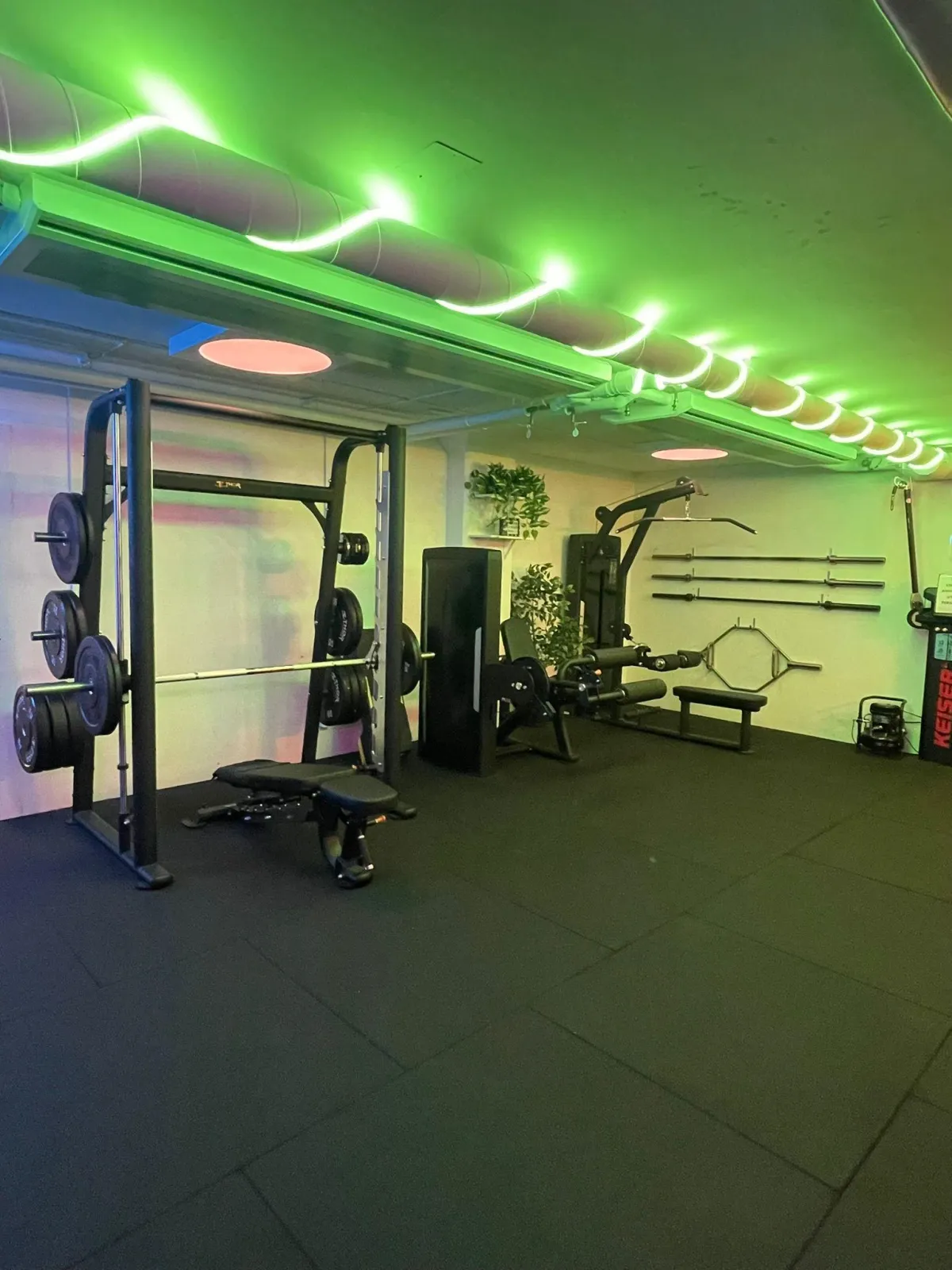 a shirtless man in a gym holding a barbell