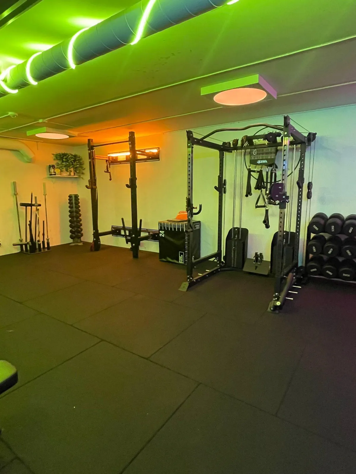 a shirtless man in a gym holding a barbell