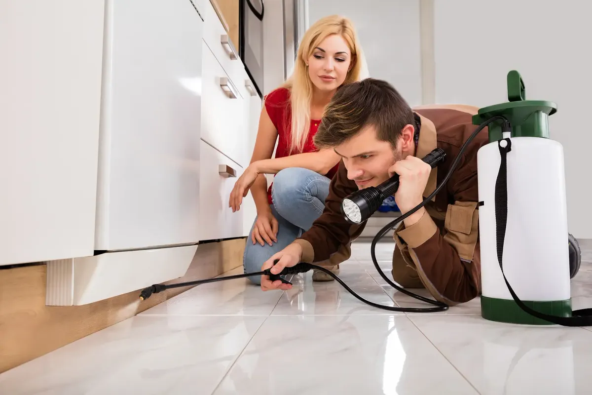 Who Is Responsible for Pest Control in Ontario Rental Properties?