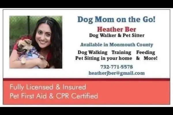 Dog Mom on the Go