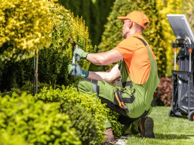  Demolition and Disposal