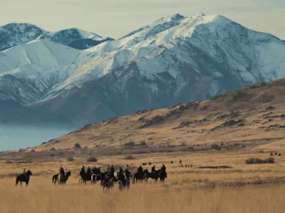 Davis County Demolition and Disposal