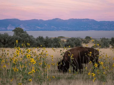  Excavation and Ground Work