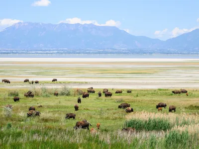 Weber County Foundation and Infrastructure