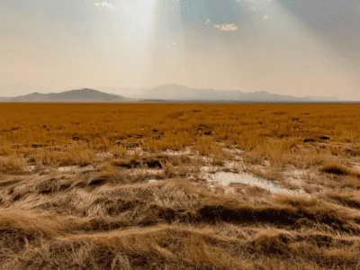 Davis County Demolition and Disposal