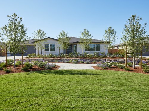 Full-Service Landscaping