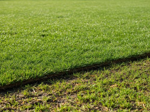 Full-Service Landscaping