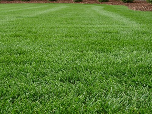 Dunmore, PA Full-Service Landscaping