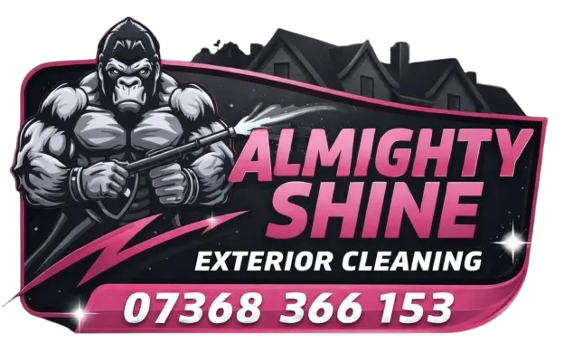 Almighty Shine Logo 