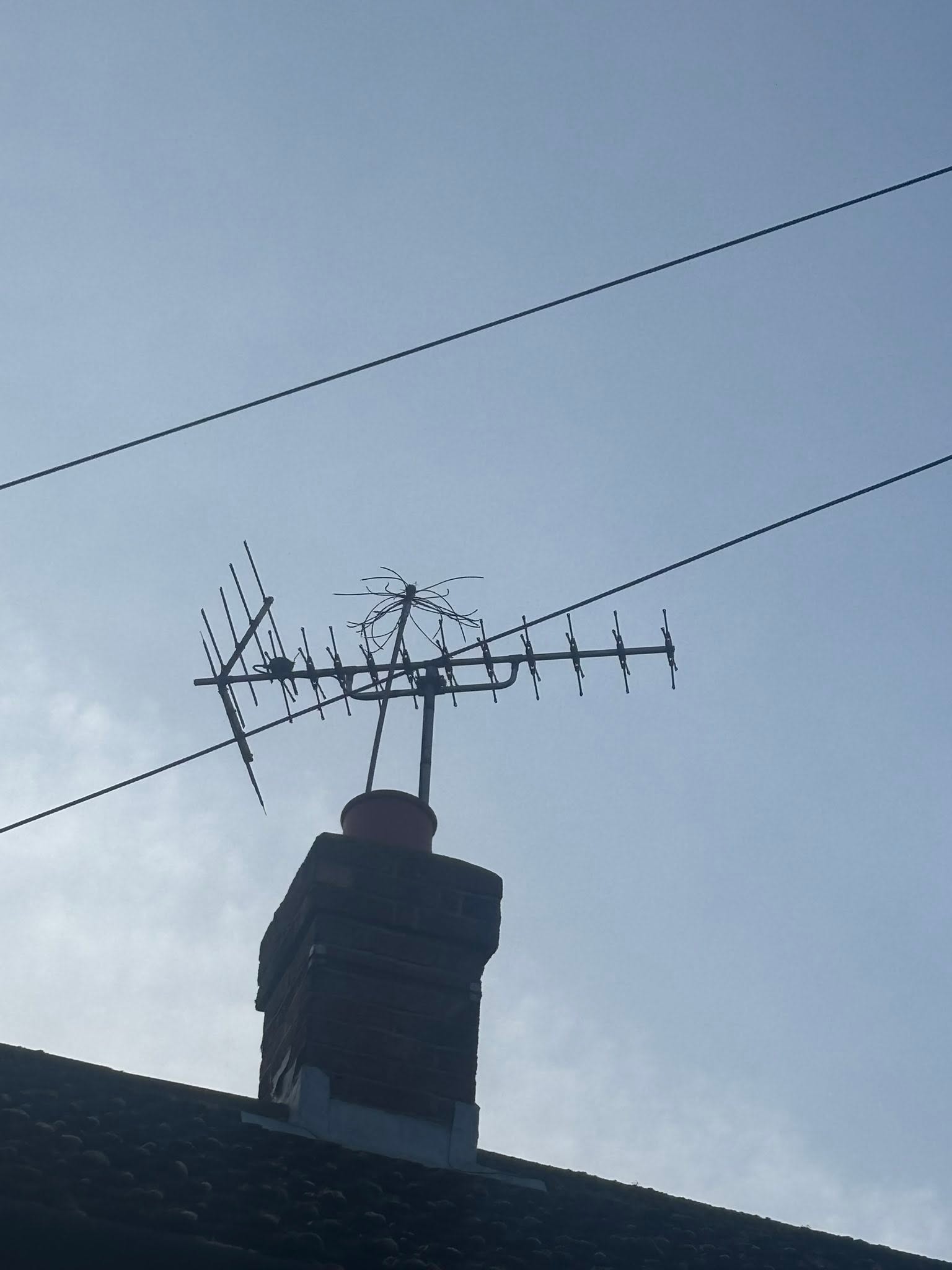 TS Chimney Sweeps fireplace and stove service for South Essex homes