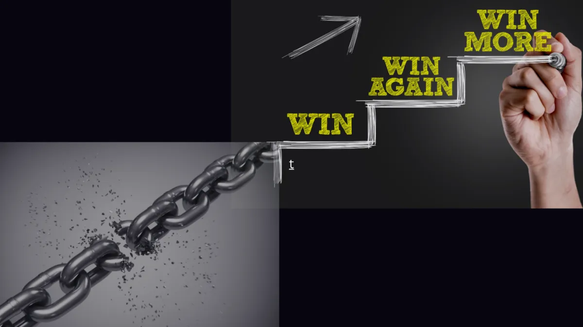 a close up of a cat walking on the ground