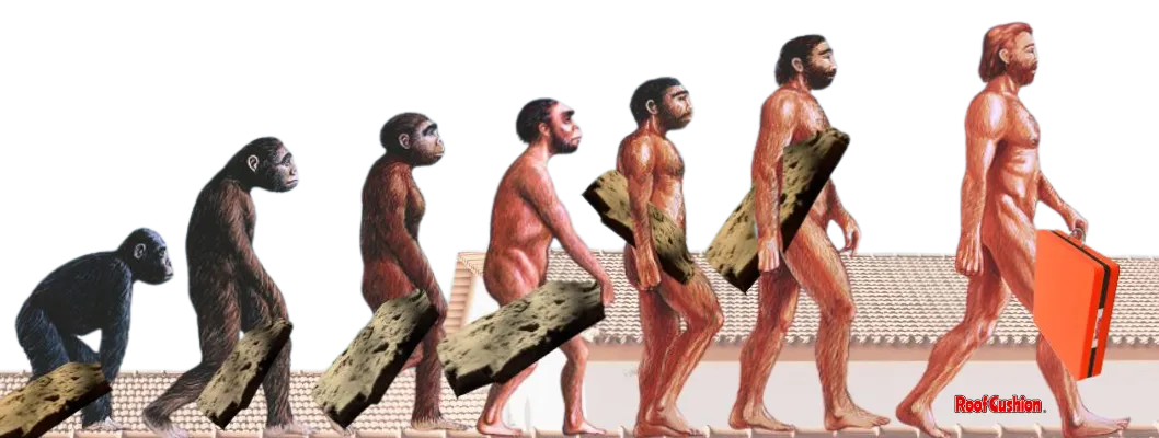 The Evolution of the Roof Cushion