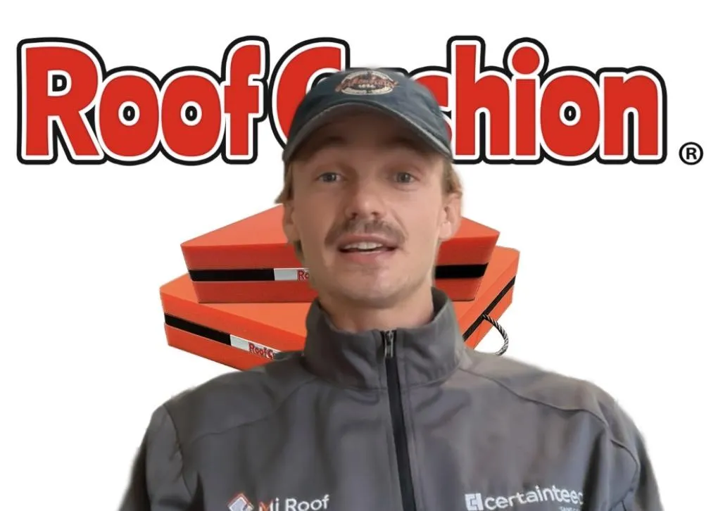 Jon Perry Roof Cushion