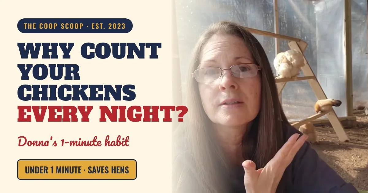 Why Should You Count Your Chickens Every Night?