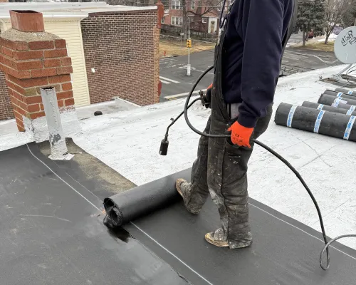  Shingles Roofing
