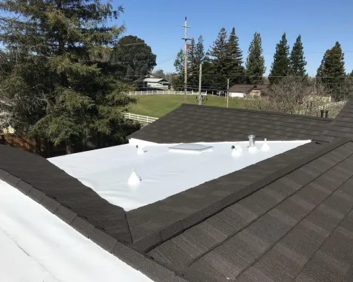  Shingles Roofing