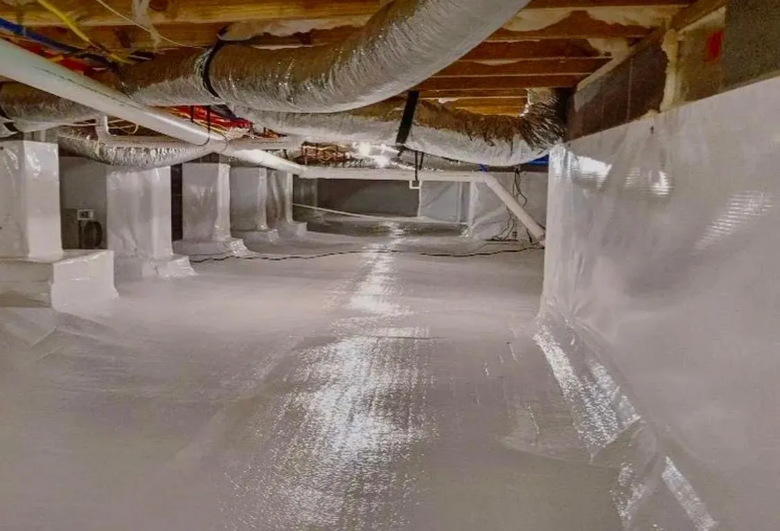 Basement renovation with full moisture barrier installation and updated framing.