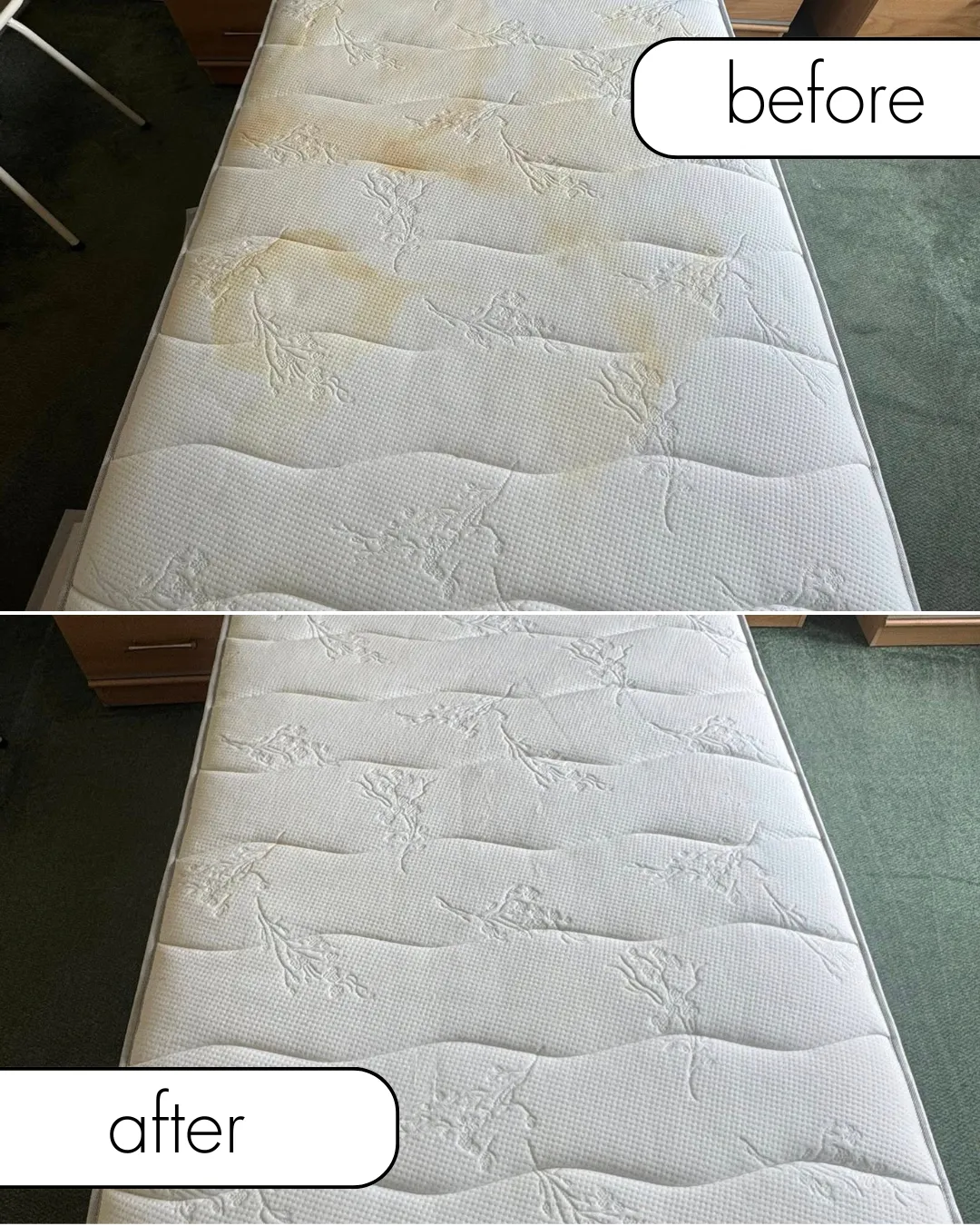 mattress cleaning dundee