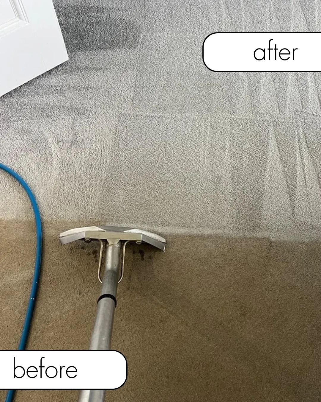 carpet cleaning dundee