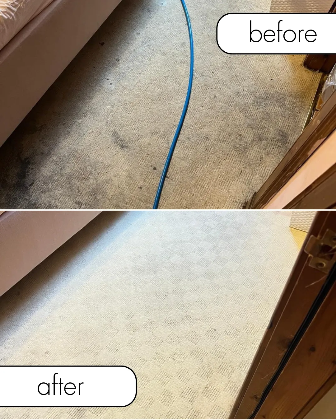 Carpet Cleaning service dundee