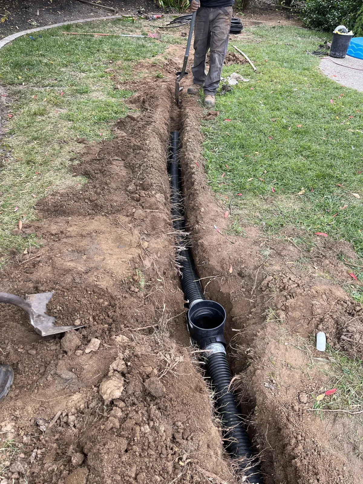 Tree Trimming Roseville