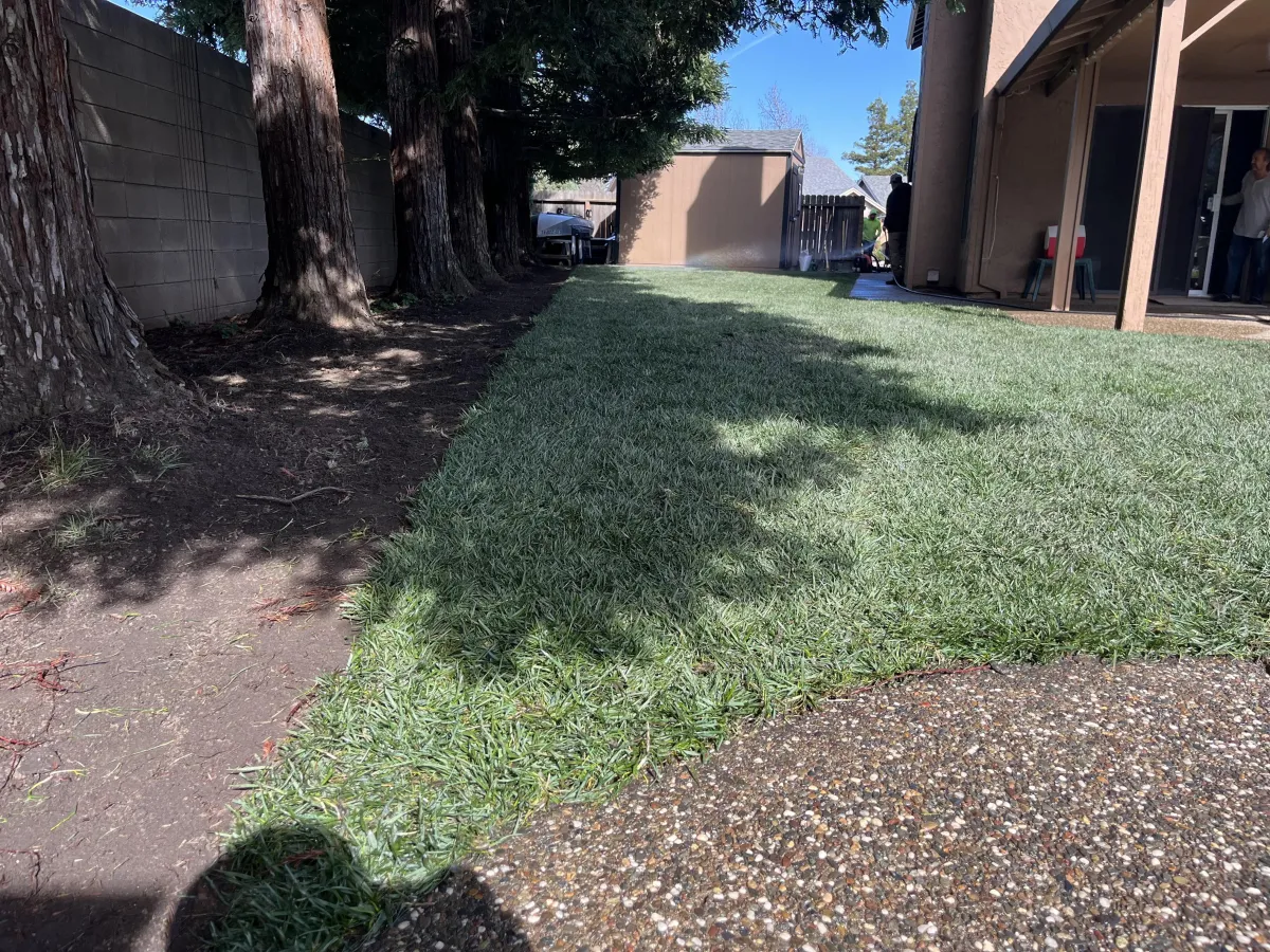 Roseville Lawn Maintenance