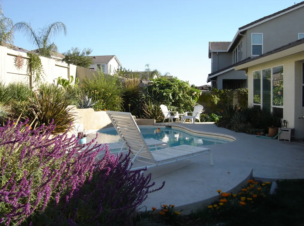 Tree Trimming Roseville