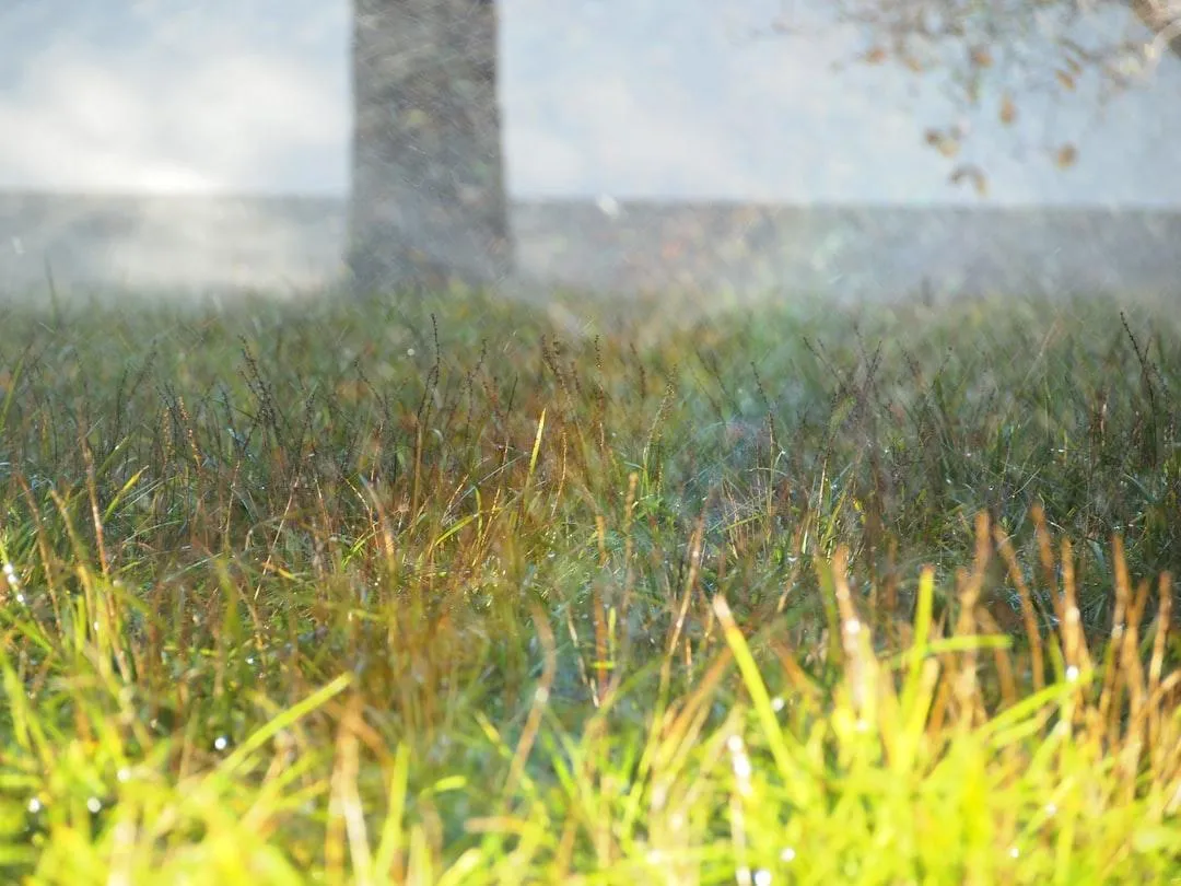 Lincoln Irrigation Repair/Installs