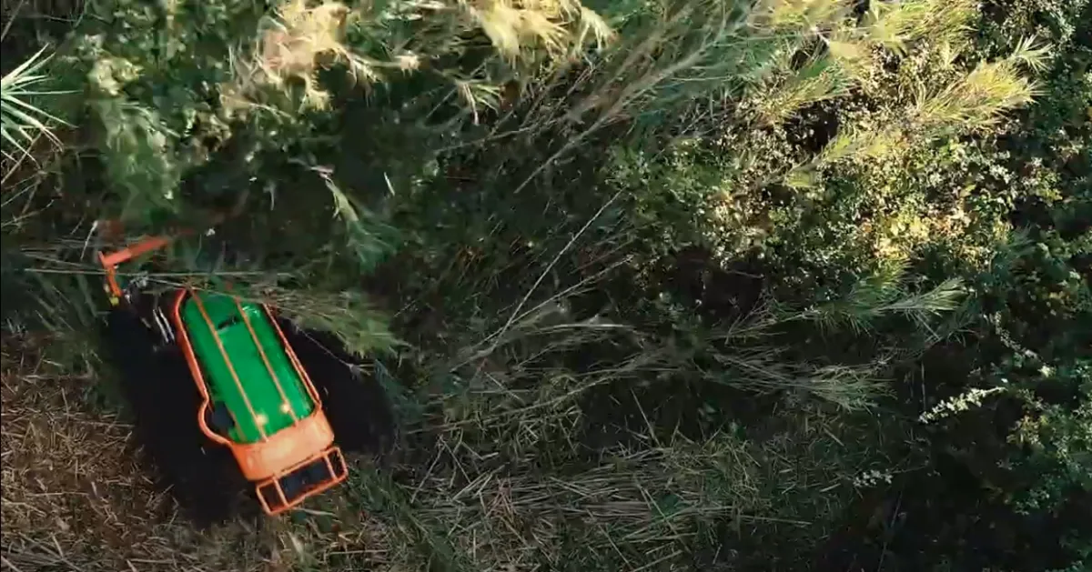 ClearPath Precision forestry mulcher clearing steep slope in Hamilton, AL