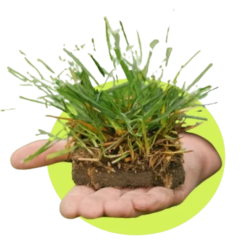 Topsoil for Sale Gauteng – Competitive Topsoil Prices
