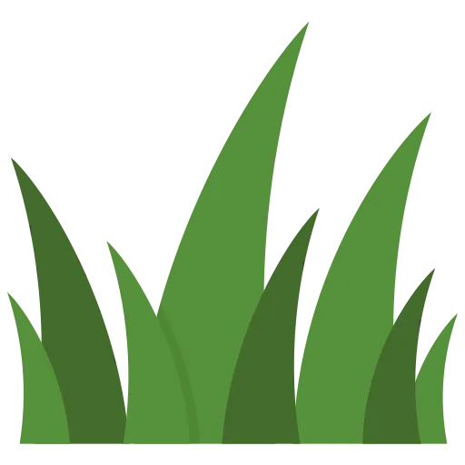 Instant Lawn