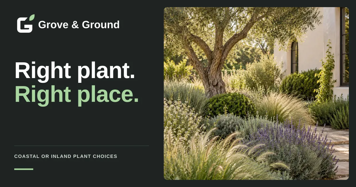 Grove & Ground article preview