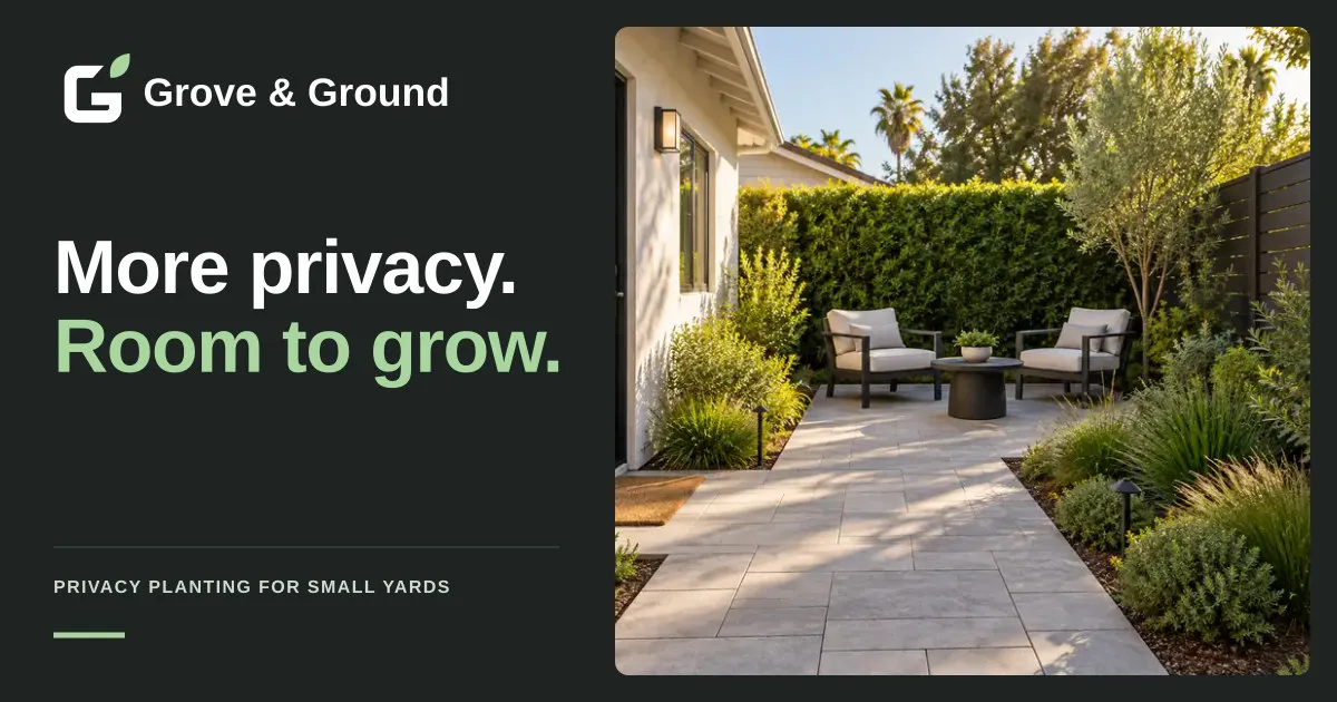 Privacy Planting for a Smaller San Diego Yard