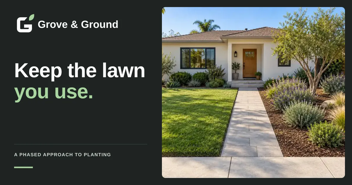 Replacing Part of Your San Diego Lawn, One Useful Phase at a Time